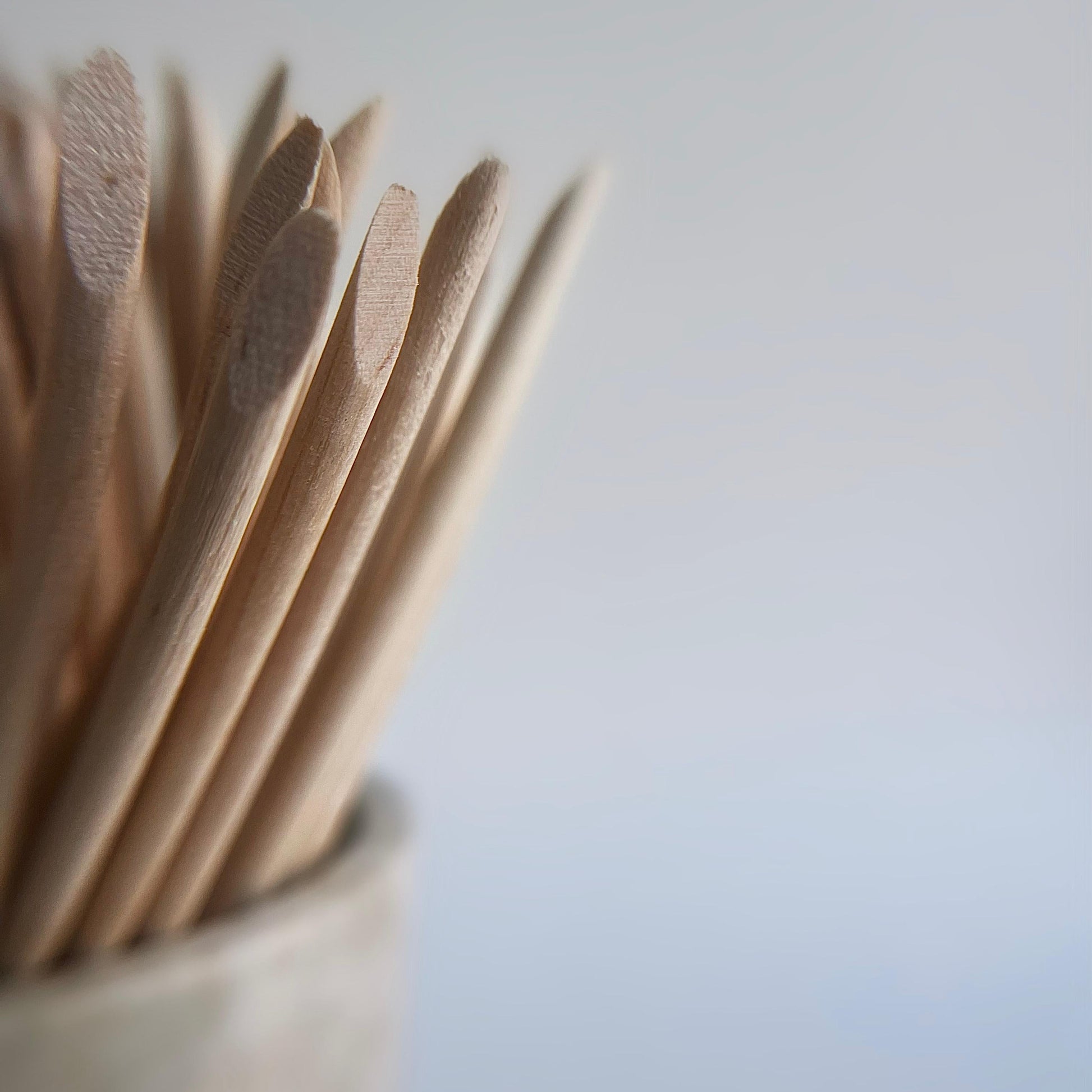 Bâtons de Manucure en Bois – 100 pièces
