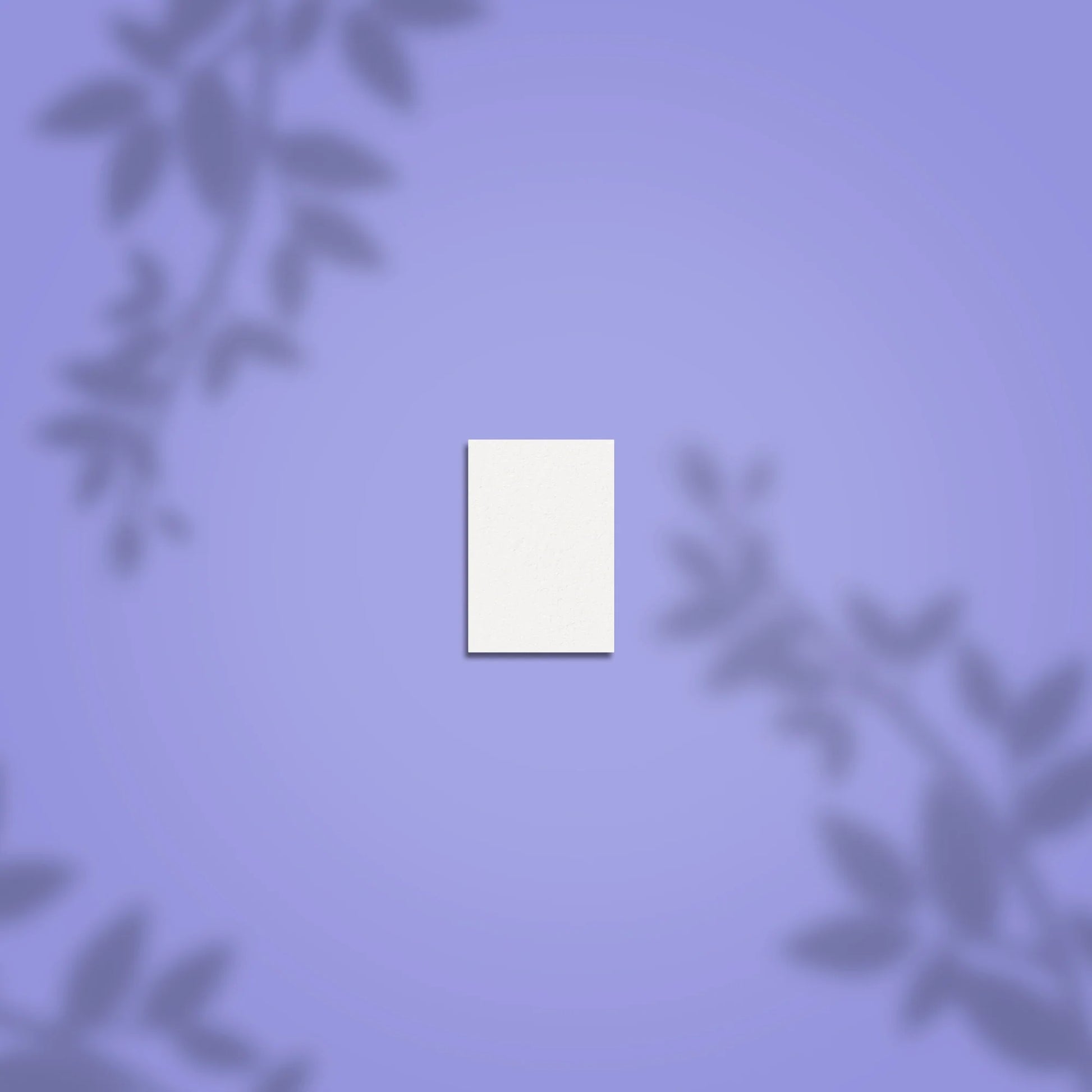 Meule rectangulaire mini EXPERT 51 100/180 (50 pcs)